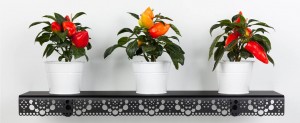 granny wall shelf black plants press download