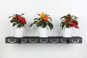 Granny black - plants test mobiiel