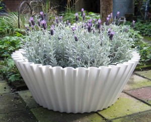 Sweet cake garden pot mood