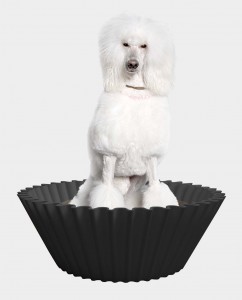 Sweet cake grey pet bed