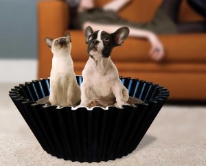 Sweet cake pet bed mood