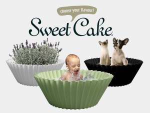 sweet cake all