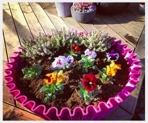 Happy customers - sweet cake planter pink
