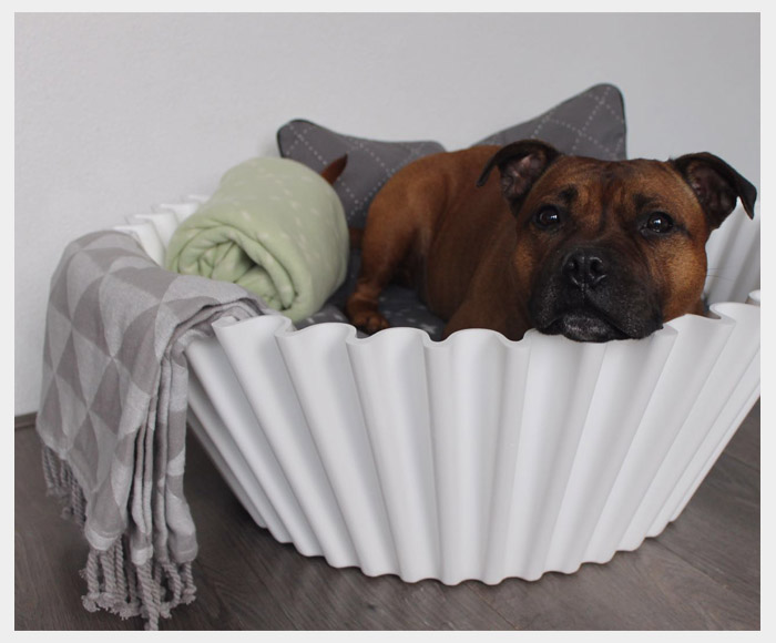 Happy customers - dog bed - sweet cake white 2